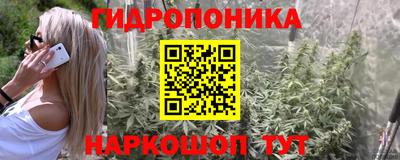 спиды Славгород