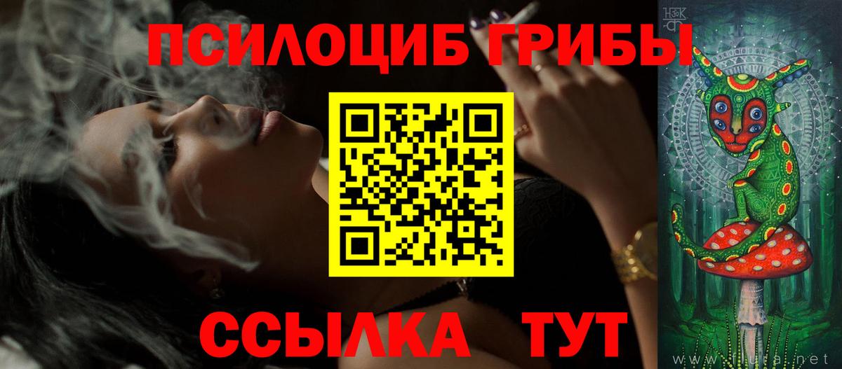 Галлюциногенные грибы Psilocybine cubensis  Вход с VPN  Орехово-Зуево 